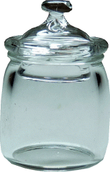 Clear Gallon Glass Jar
