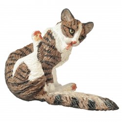 CAT A6006