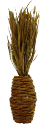 Dried Grass Arrangement