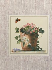 Hepatica Ehret Print