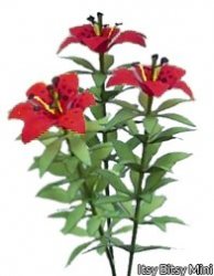 Red Lily Flower Kit