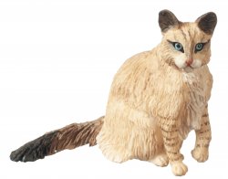 CAT A6004