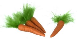 Carrots, 4Pc