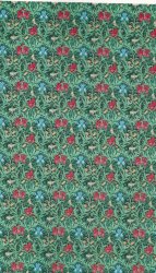 Wallpaper - Iris - Green Background
