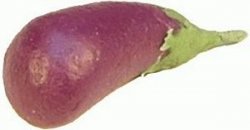 Eggplant- Set of 6