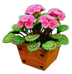 Pink Geraniums in Square Planter Box
