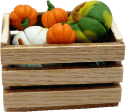 Pumkins and Gourds in a crate
