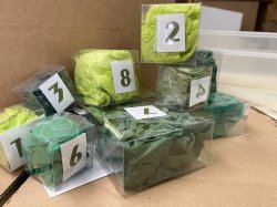 Green Themed 12 DAY Advent Calendar
