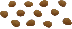 F185 Dozen Brown Eggs