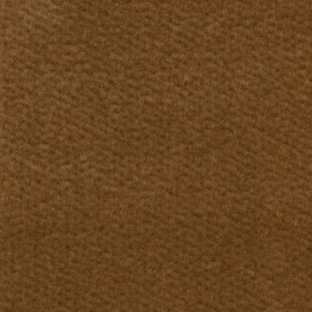 Carpet: Fawn 12 X 14