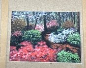 Spring Garden Path Print