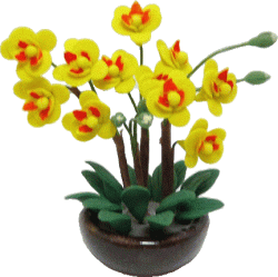 Yellow Orchid Arrangement in Pot