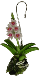 Hanging Orchid Pink & White