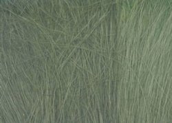 Field Grass-Medium Green