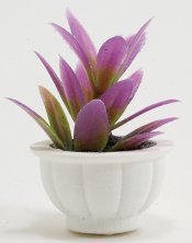 CAPP8 - Purple Plant in White Pot