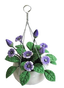 Purple Cupflower in Hanging Pot
