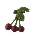 3 Cherries on Stem Leaf