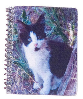 Kitty Spiral Notebook - TIN1123 - Click Image to Close