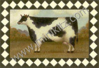 Cow Tile Tray kit