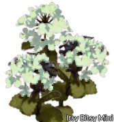 Green Hydrangea Flower Kit