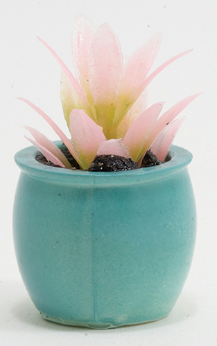 CAPP5 - Pink Plant in Turquoise Pot - Click Image to Close