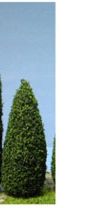 MBT1215DB - Trees, Blue Spruce, 1.5 Inch, 5Pc